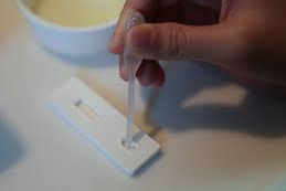 How to drop urine for ovulation test kit