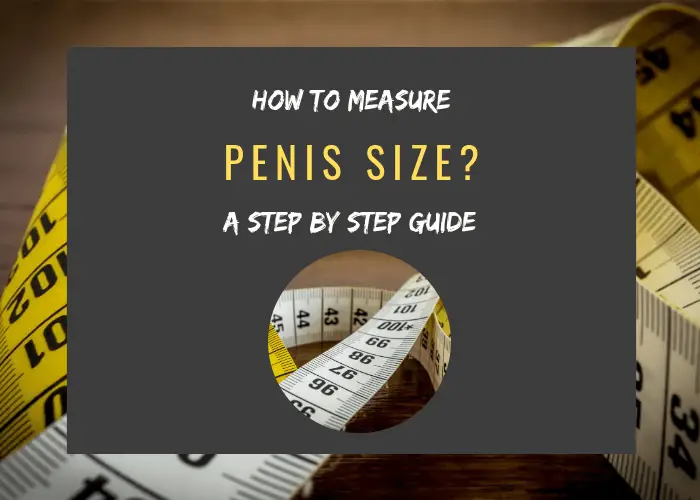 How To Measure Penis Size