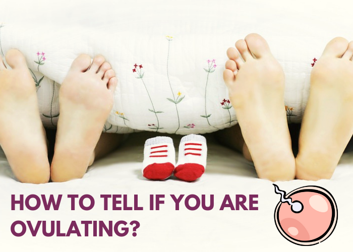 How can you tell if you are ovulating?