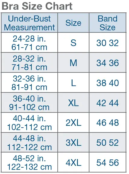 Bra Bust Size Chart