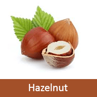 Hazelnut flavour